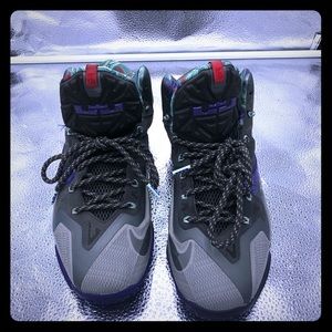 USED ! Lebron 11 Terracotta Warriors